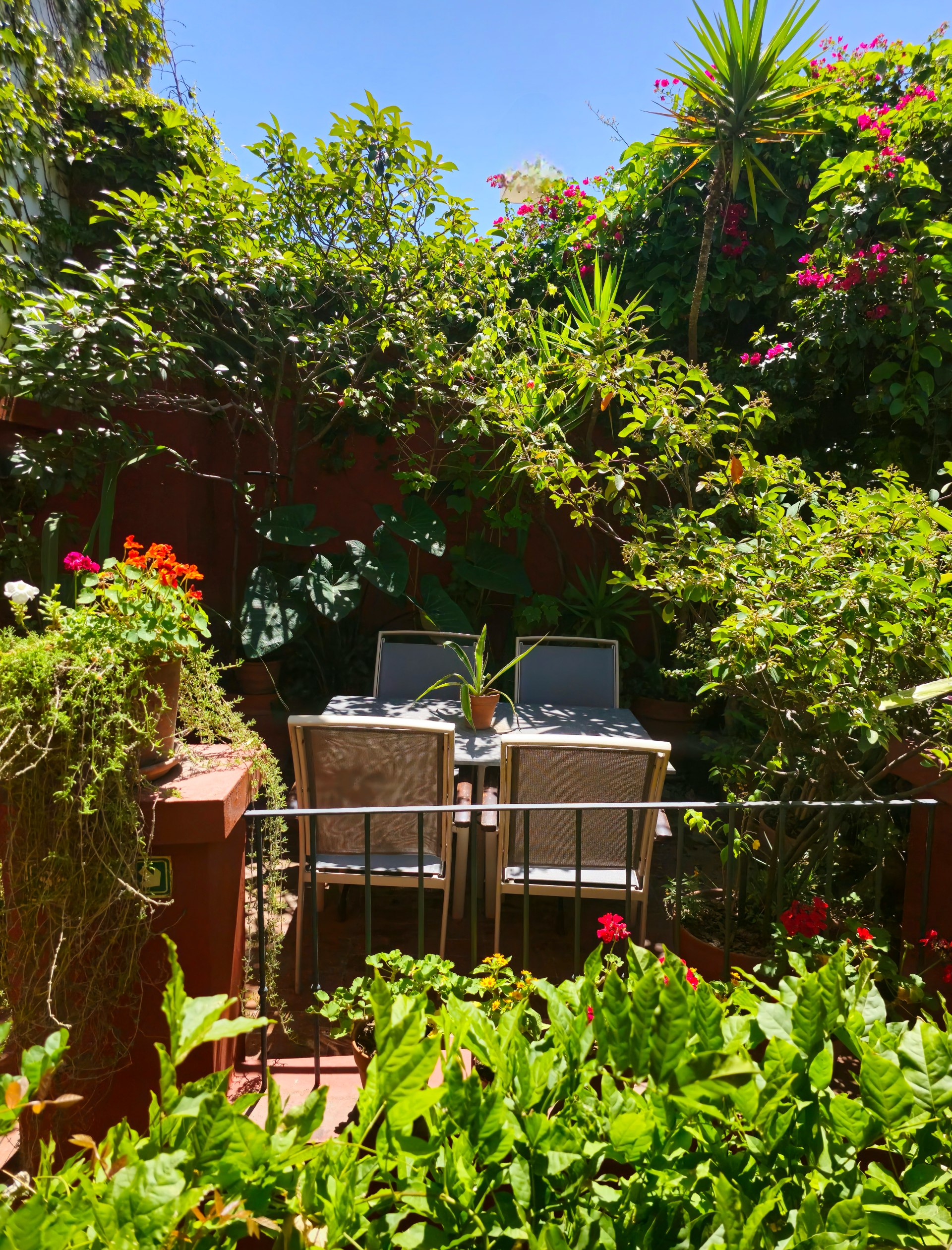 The peaceful rooftop terrace space surrounded by Buenos Aires rooftops, ideal for reading or quiet reflection.