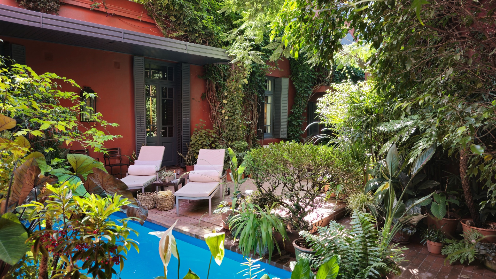 The serene courtyard pool flanked by climbing vines, mature trees, and balcony views of the property.